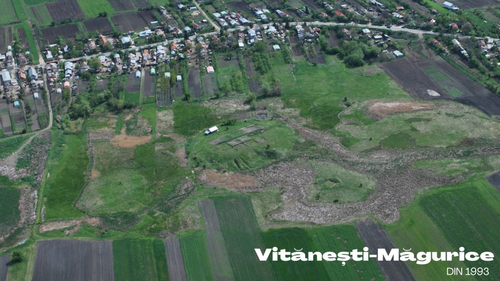 484555571 2784867838363976 7751287475557994272 n