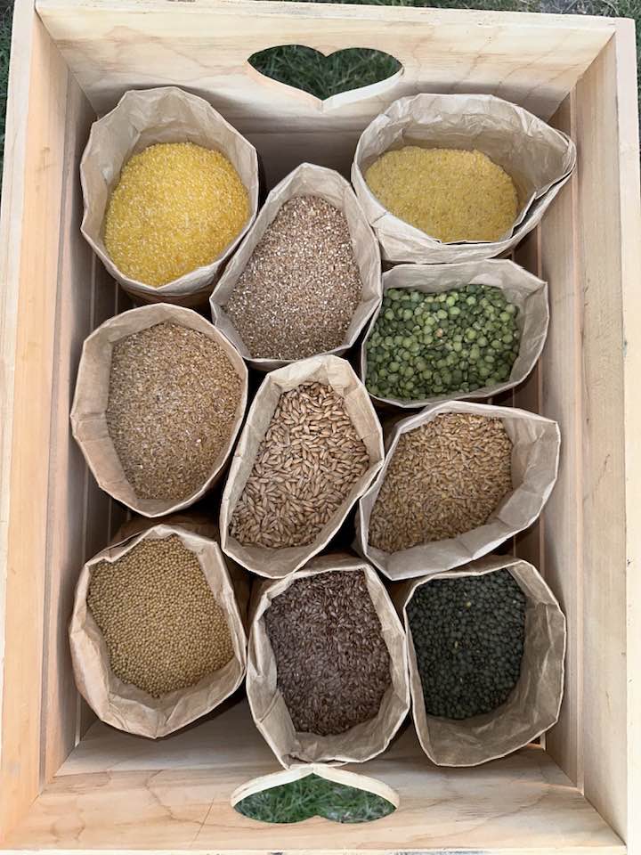 495058642 9635288096519360 6324400625690412965 n