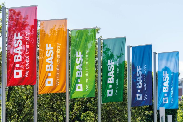 6400 008 BASF Flags