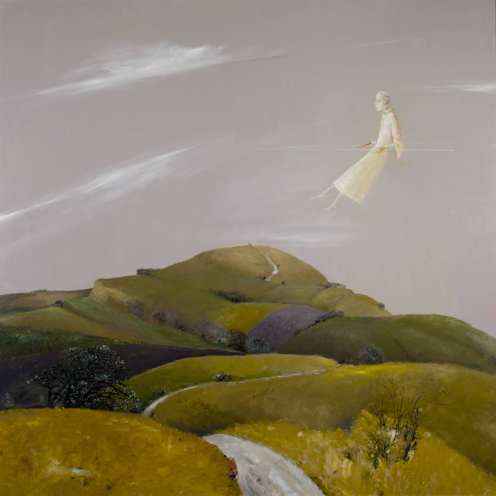 Cale in Transilvania Stefan Caltia 2014 1.jpg