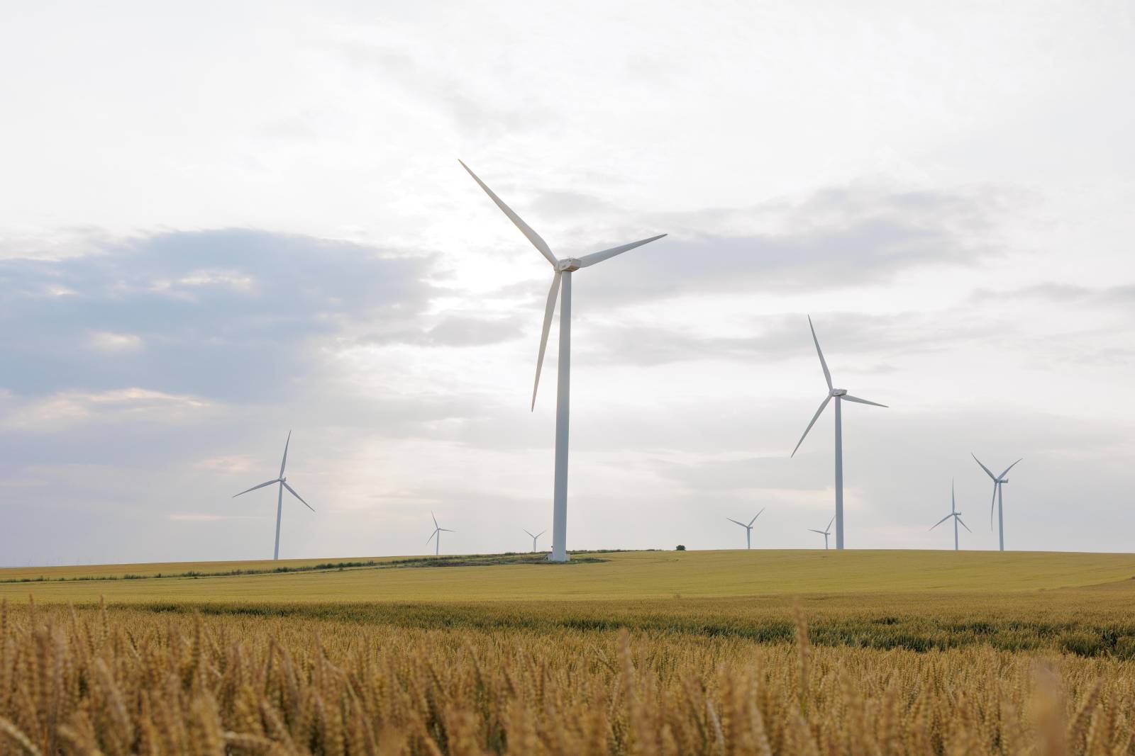 PPC Renewables România dezvoltă, în cadrul parcului eolian Târgușor, un sistem BESS de 60 MW | 120 MWh 3 Eolinene ppc energie verde 2 CEE Zephyr1 N Balcescu Constanta