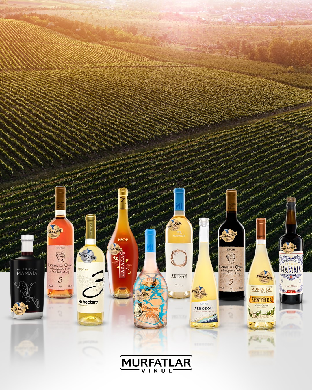 Foto vinuri premiate la Vinalies Internationales