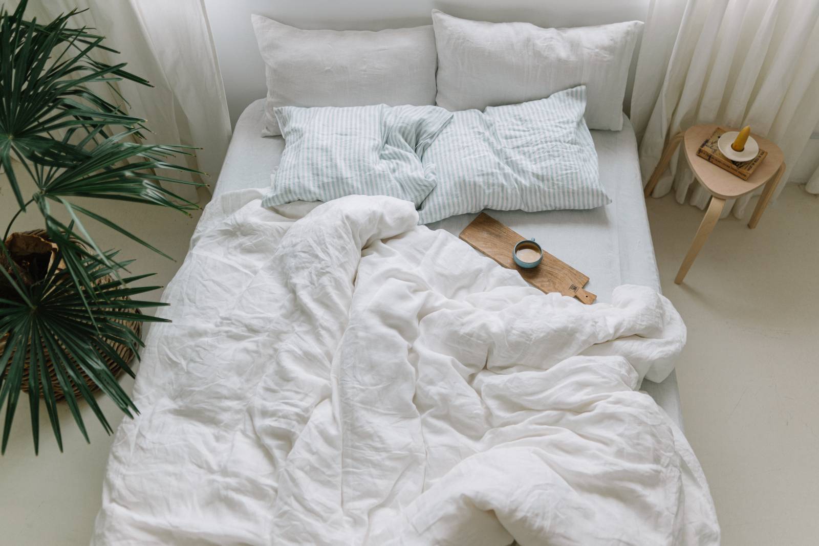 Genuin deersphotos 189