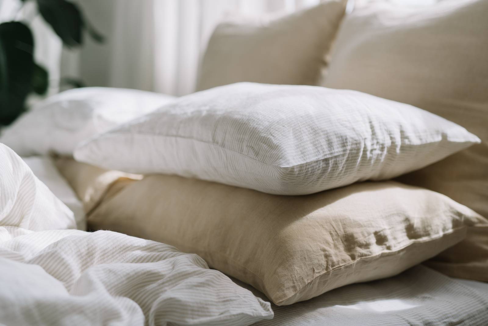 Genuin deersphotos 38