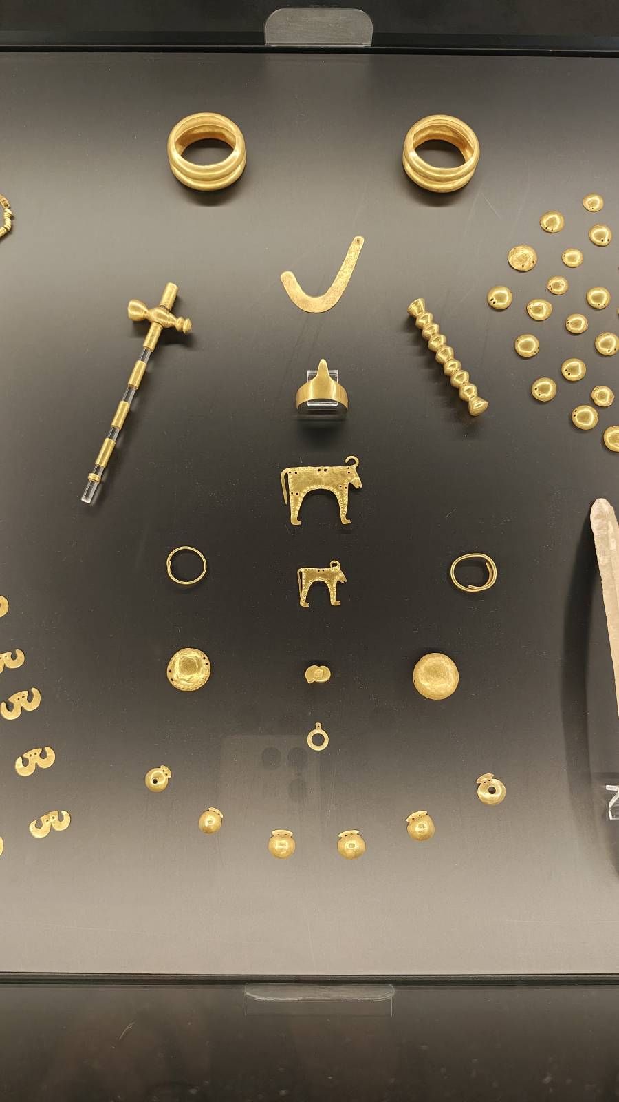 IMG 20260329 135204788 HDR