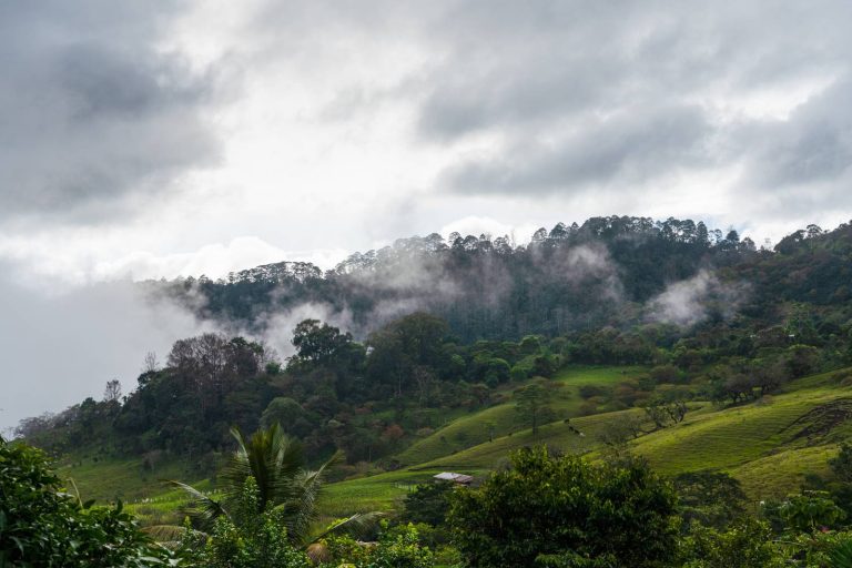 LAVAZZA HONDURAS PHOTO A7V 0021.jpg