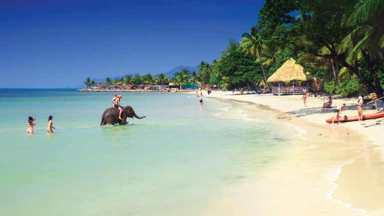 dreamstime xxl 58458820