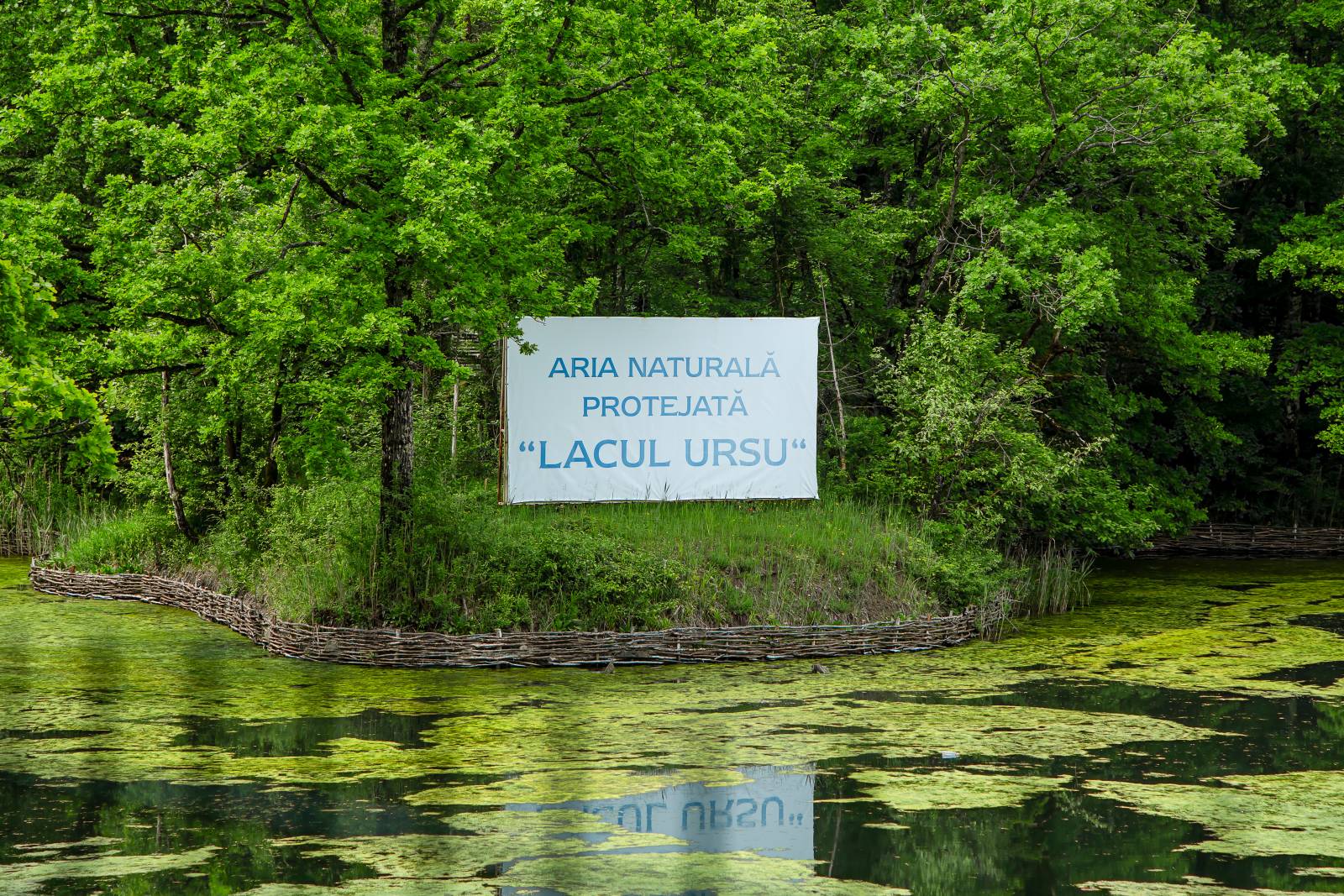 shutterstock 2002078856