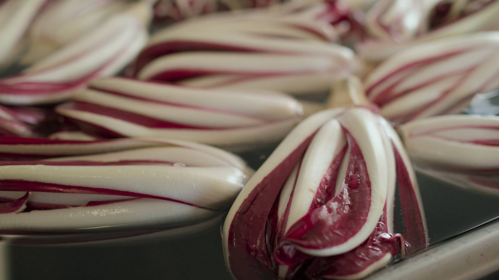 Poza pentru articolul TUCCI REVINE ÎN ITALIA cu un nou sezon dedicat gastronomiei, tradițiilor și poveștilor difuzat pe National Geographic