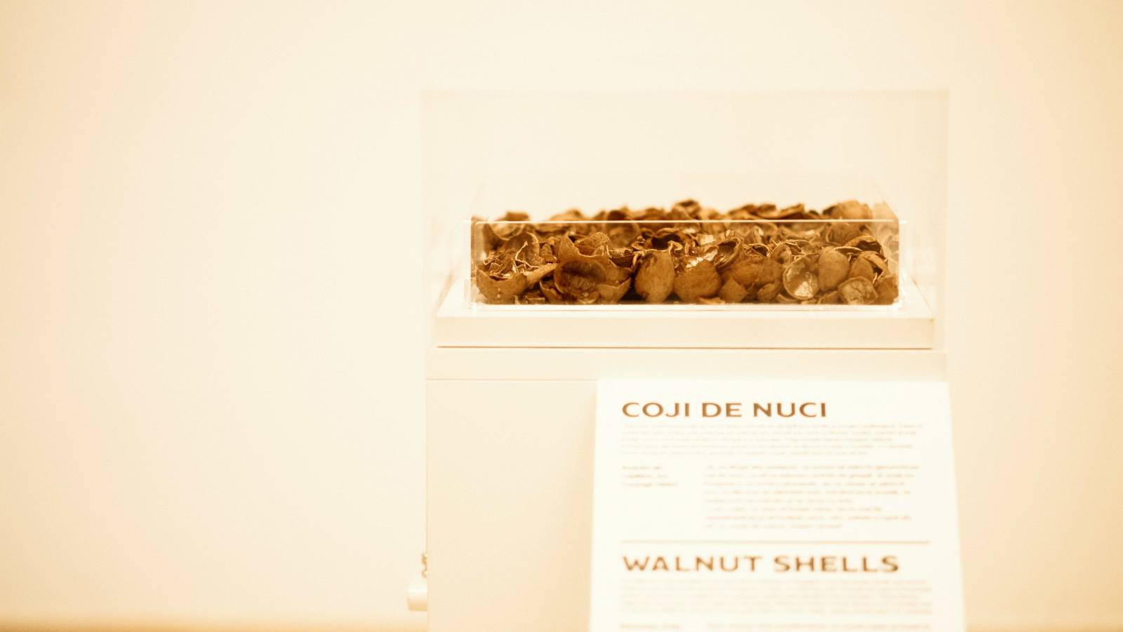 Expozitie vdhub Kaufland coji de nuci
