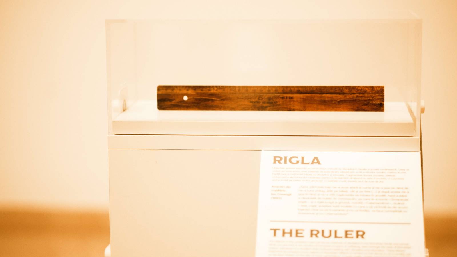 Expozitie vdhub Kaufland rigla