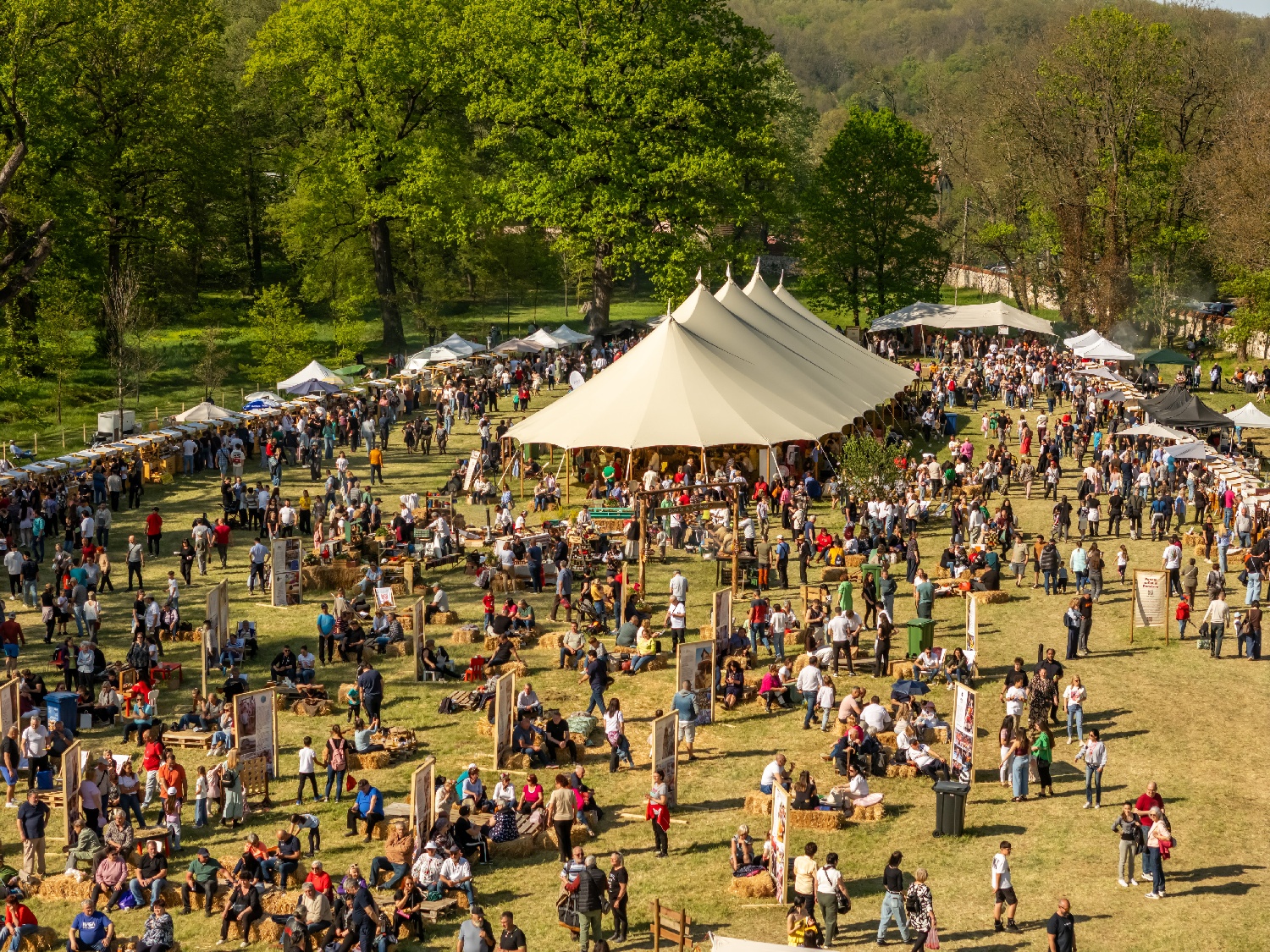Festivalul Suflet de Romania 2026 03