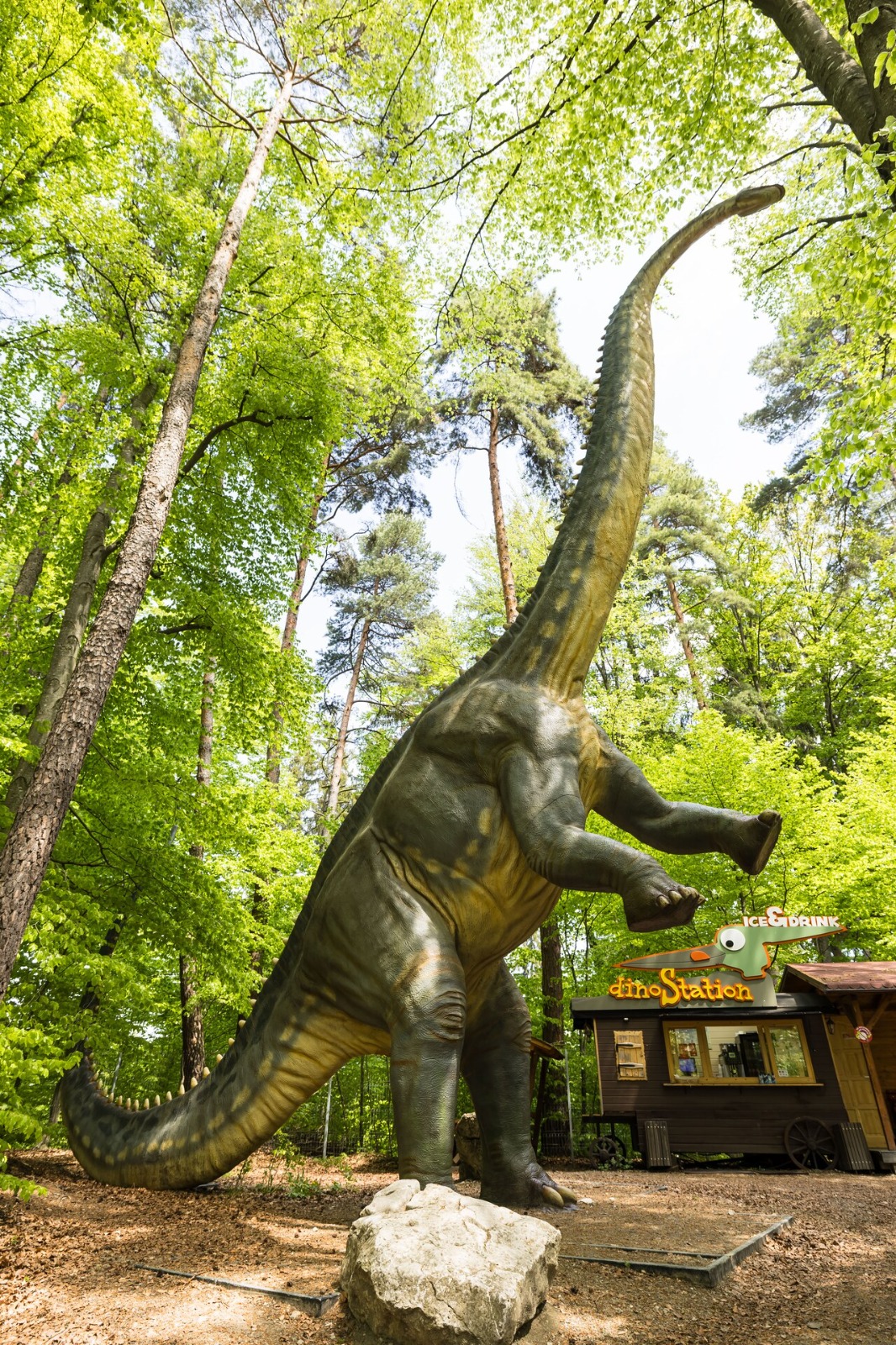 Muzeul Padurii Dino Parc 1