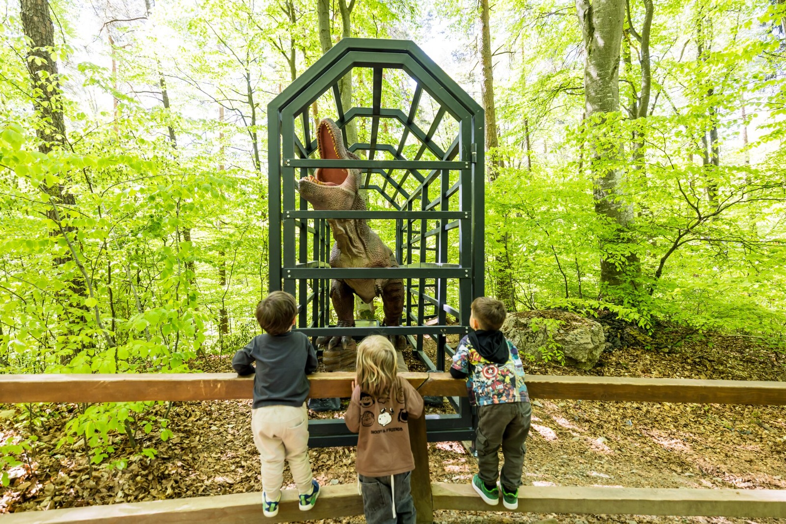 Muzeul Padurii Dino Parc 2