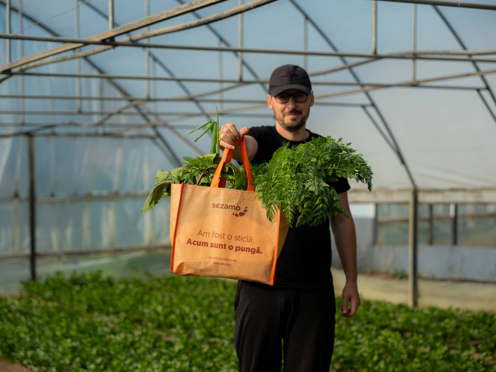 Sezamo: Peste jumătate dintre clienți cumpără produse „proaspăt recoltate” 1 Sezamo Legume Verzi