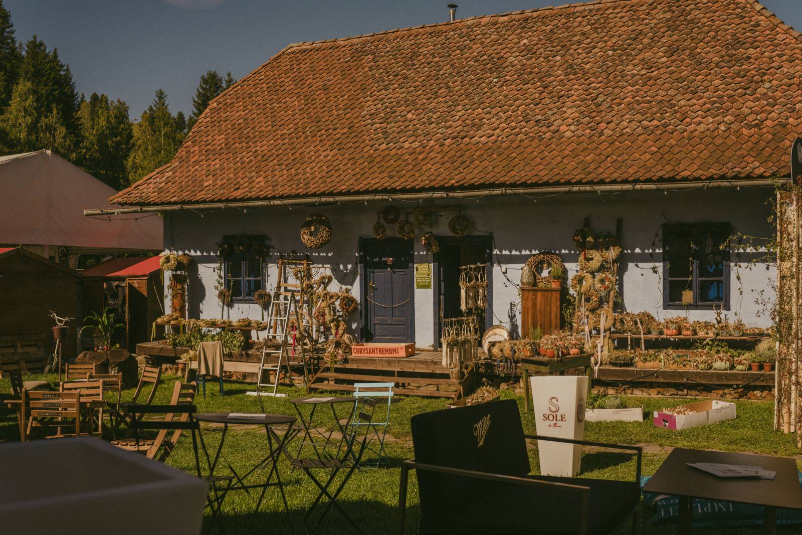 Taste of Transylvania 2026: Un tur gastronomic de excepție și o mișcare pentru salvarea identității culinare în secolul 21