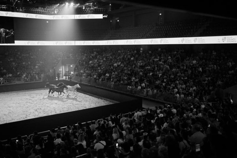 BTArena Spirit of the horse