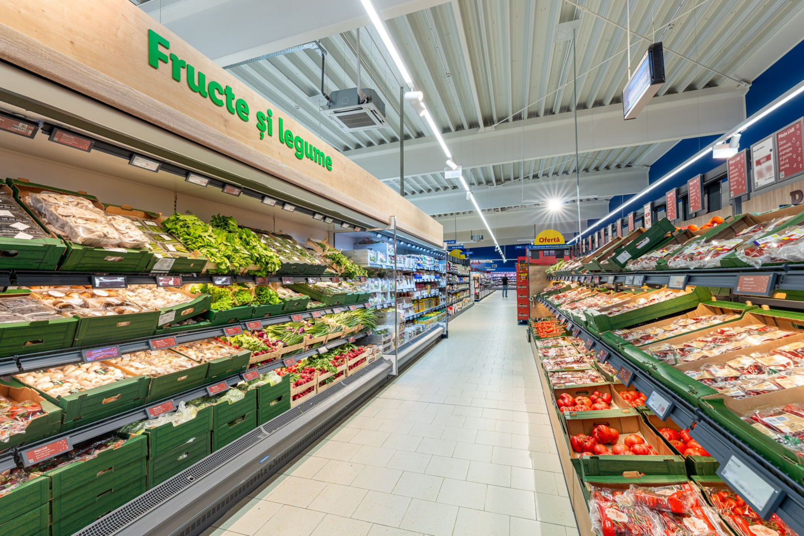 Lidl ocupă locul 1 în categoria de fructe și legume din România 2 Comunicat de presa Lidl ocupa locul 1 in categoria de fructe si legume din Romania conform studiului realizat de YouGov