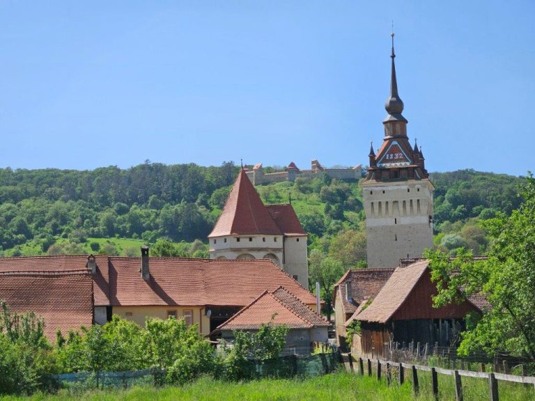 FIJET Mures 1