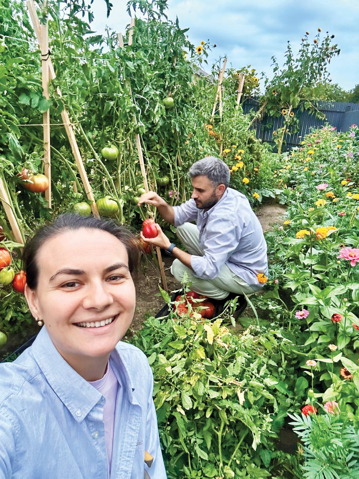 Culegătorii de (po)vești din satul românesc 2 In gradina noastra de la sat in septembrie 2025 culegeam rosii