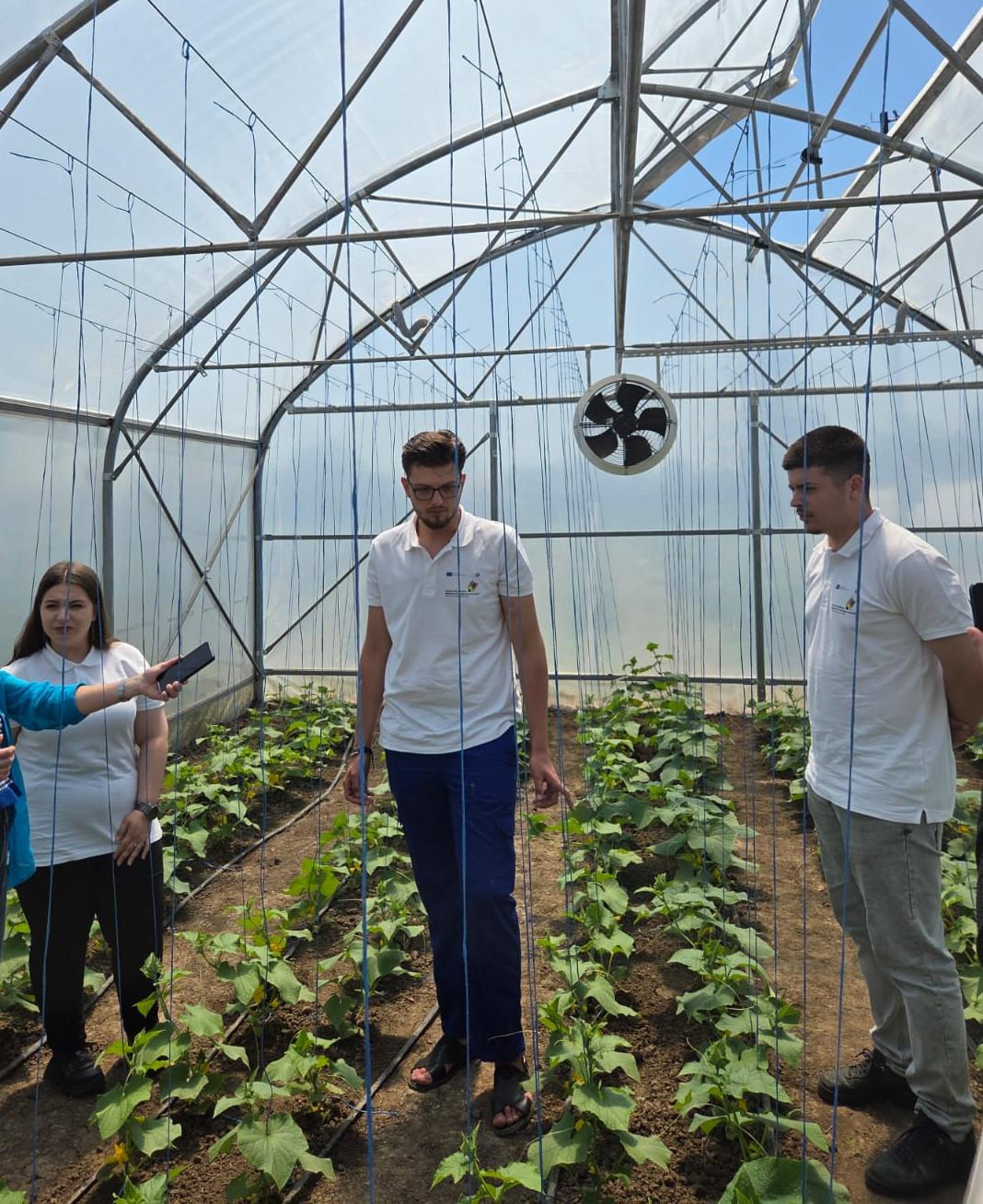 World Vision România: Investiții de peste un milion de dolari în programe de educație agricolă 1 sera WVR