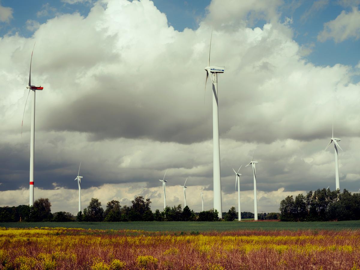 Eurowind Energy România începe construcția parcurilor eoliene Frumușița, Vector și Pecineaga Nord-Est 11 JBN EUROWIND NEUSTADT 00065
