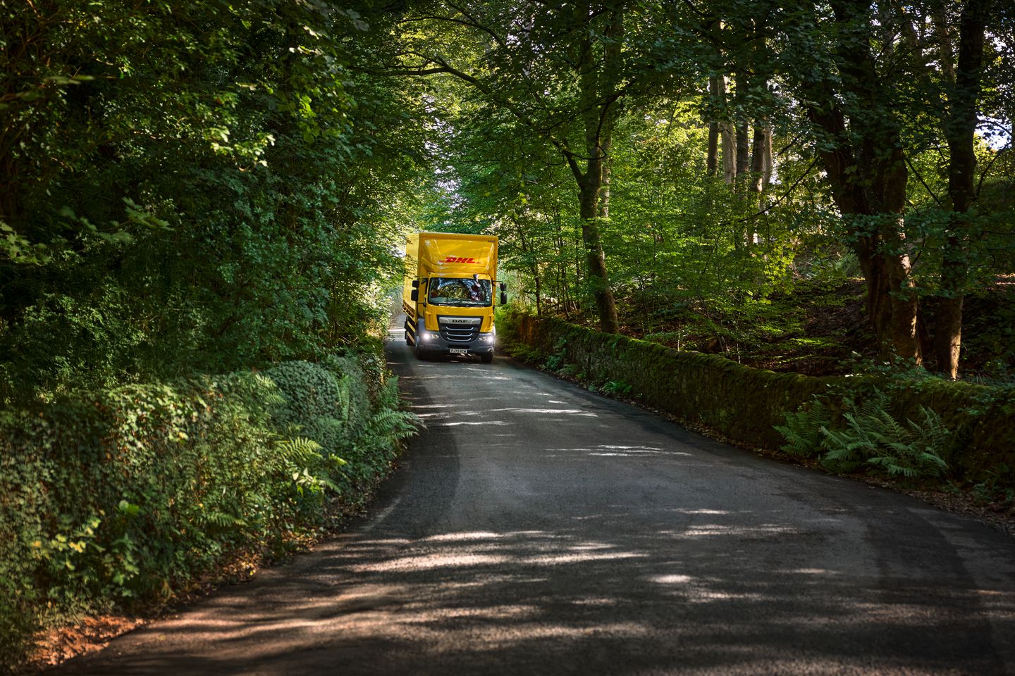 DHL Express România lansează serviciul Balkan Express, conexiune rapidă între România și Bulgaria 2 photo