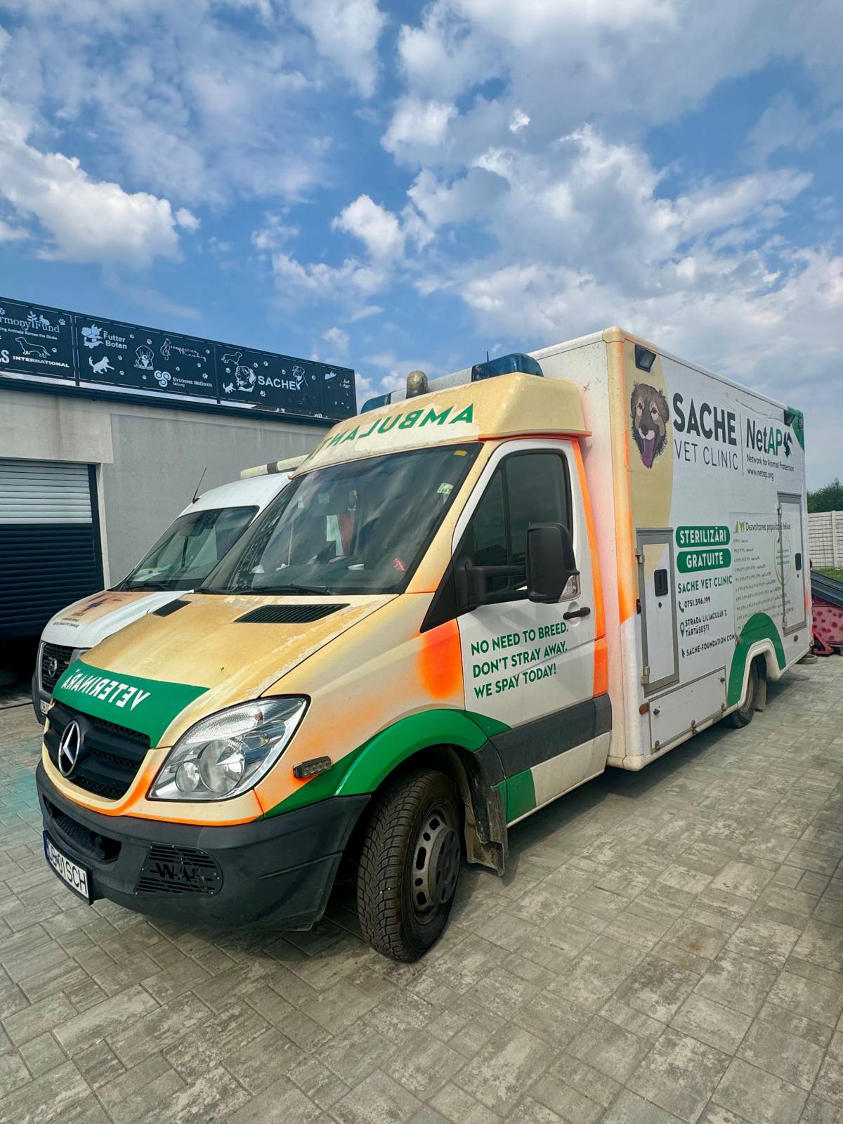 Primul Spital Veterinar Social din România își deschide porțile 5 233483