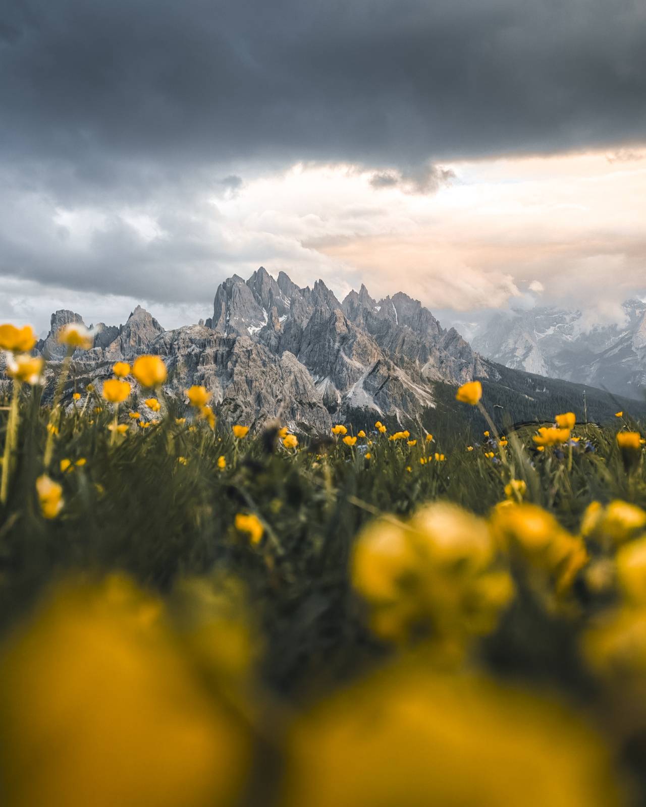 5,3 miliarde de imagini în fiecare zi, la nivel global: seria HONOR 600 simplifică editarea foto cu ajutorul AI 4 53 miliarde de imagini in fiecare zi la nivel global seria HONOR 600 simplifica editarea foto cu ajutorul AI. Foto by Alina Kondrat293.jpg