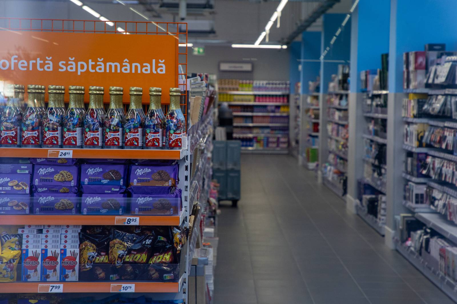 Localitatea de lângă Timișoara unde se deschide un nou magazin Action. Ce oferte aduce 1 ACTION Mosnita