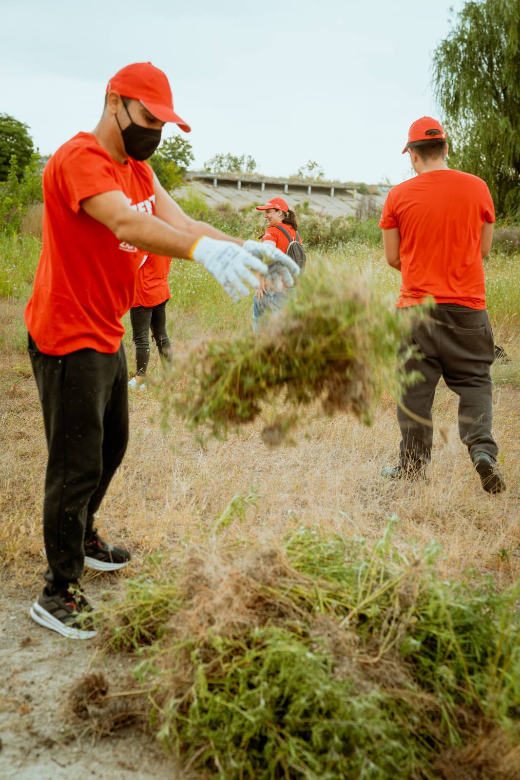 Parcul Natural Văcărești din București a fost ecologizat de voluntari 2 ALT00624