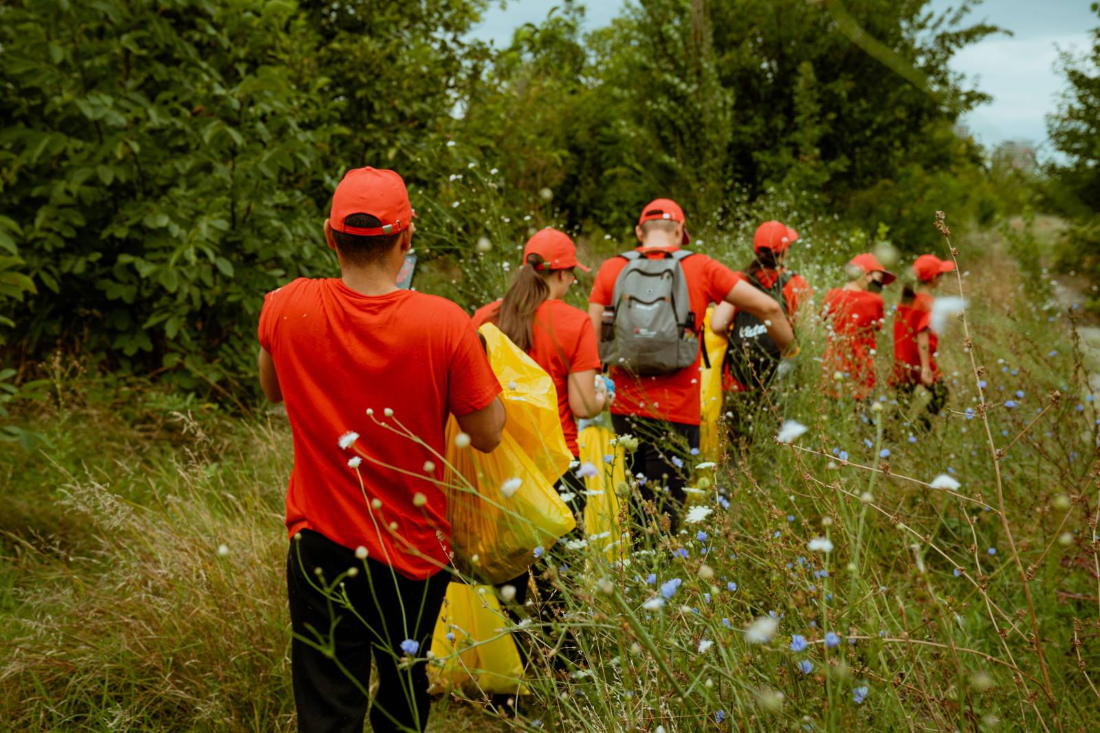 Parcul Natural Văcărești din București a fost ecologizat de voluntari 4 ALT00734
