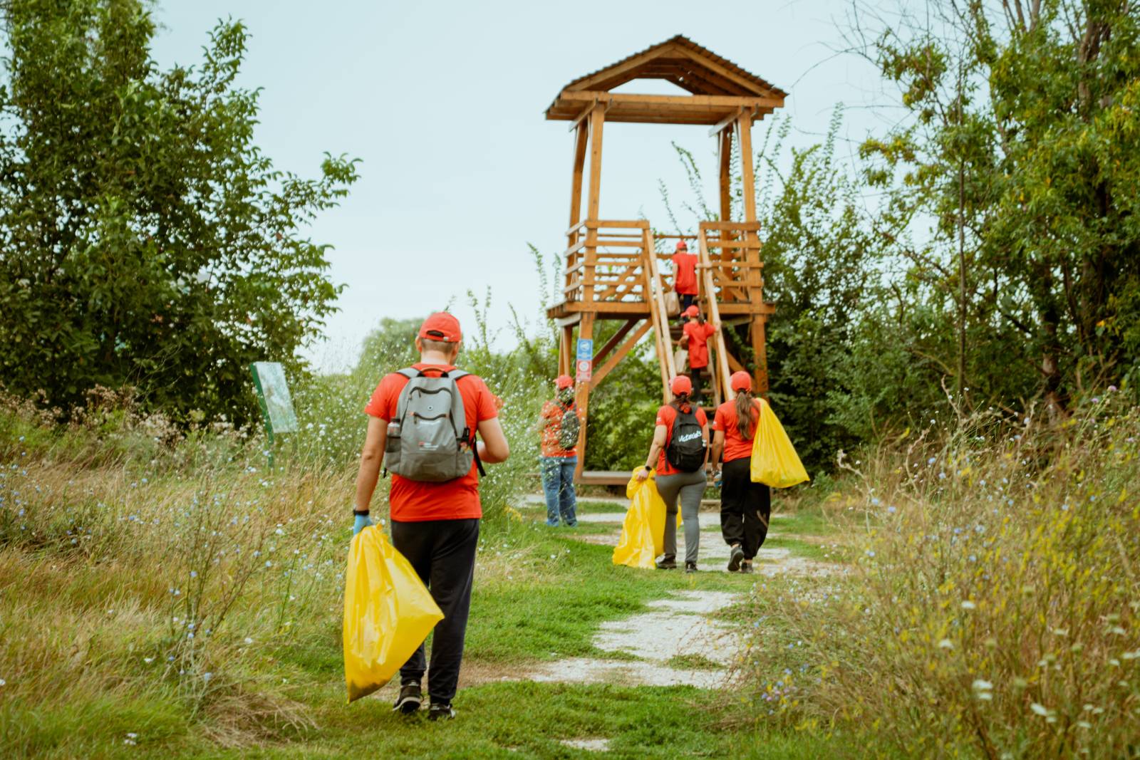 Parcul Natural Văcărești din București a fost ecologizat de voluntari 5 ALT00755