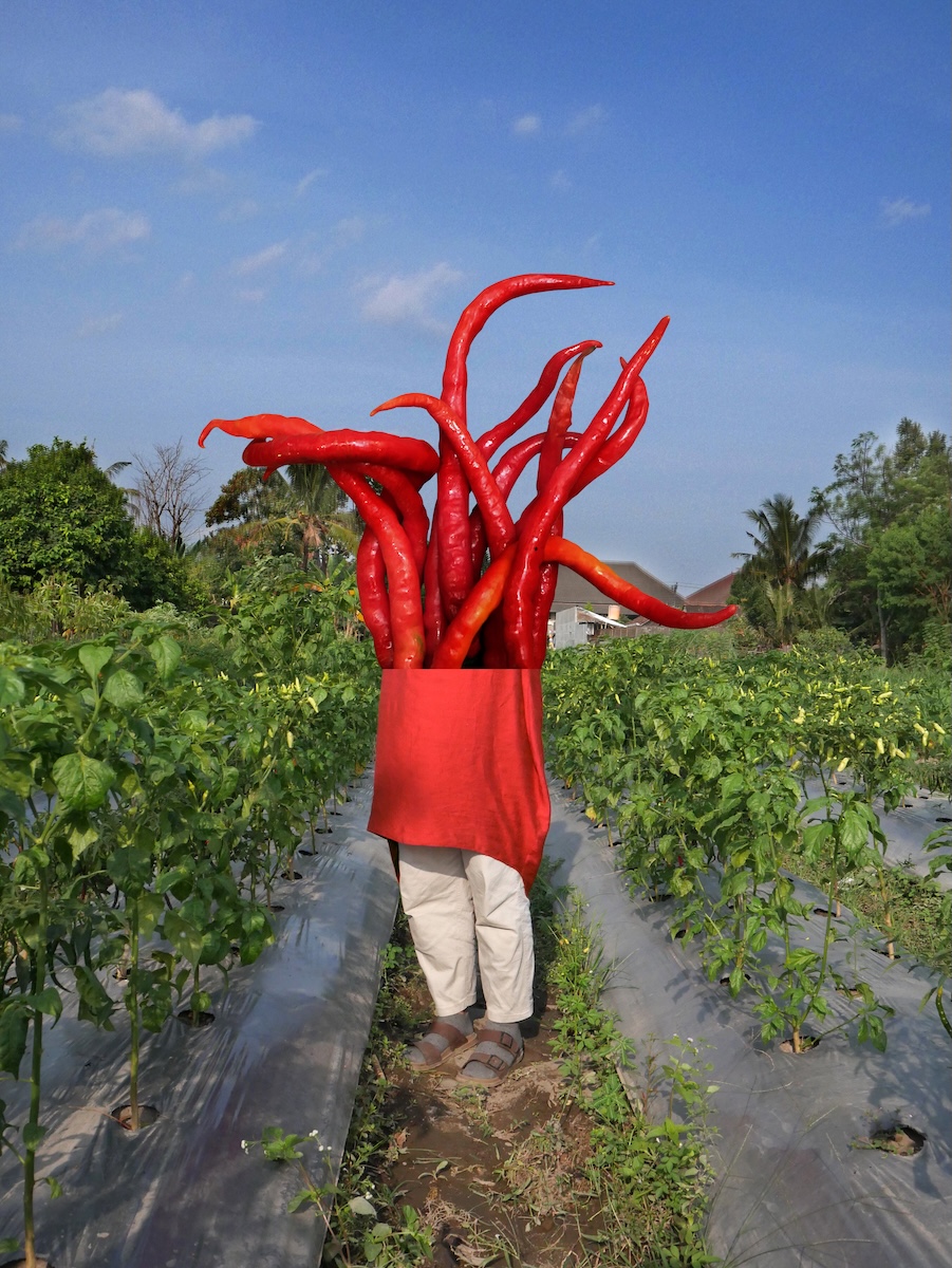 O cercetare despre grădini, comunități și lumea vie, începută în România, ajunge la MODEM în Debrecen 7 Cultivators of Life Anang Saptoto vs PARI Customers 4.0 Nahary Latifah. Courtesy of the Artist