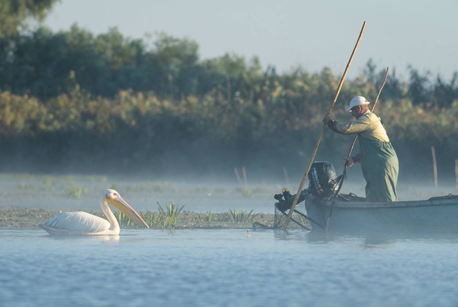 Echipa „Delta Sălbatică” susține proiectele de reconstrucție ecologică și renaturare derulate de organizațiile de mediu 6 DS1