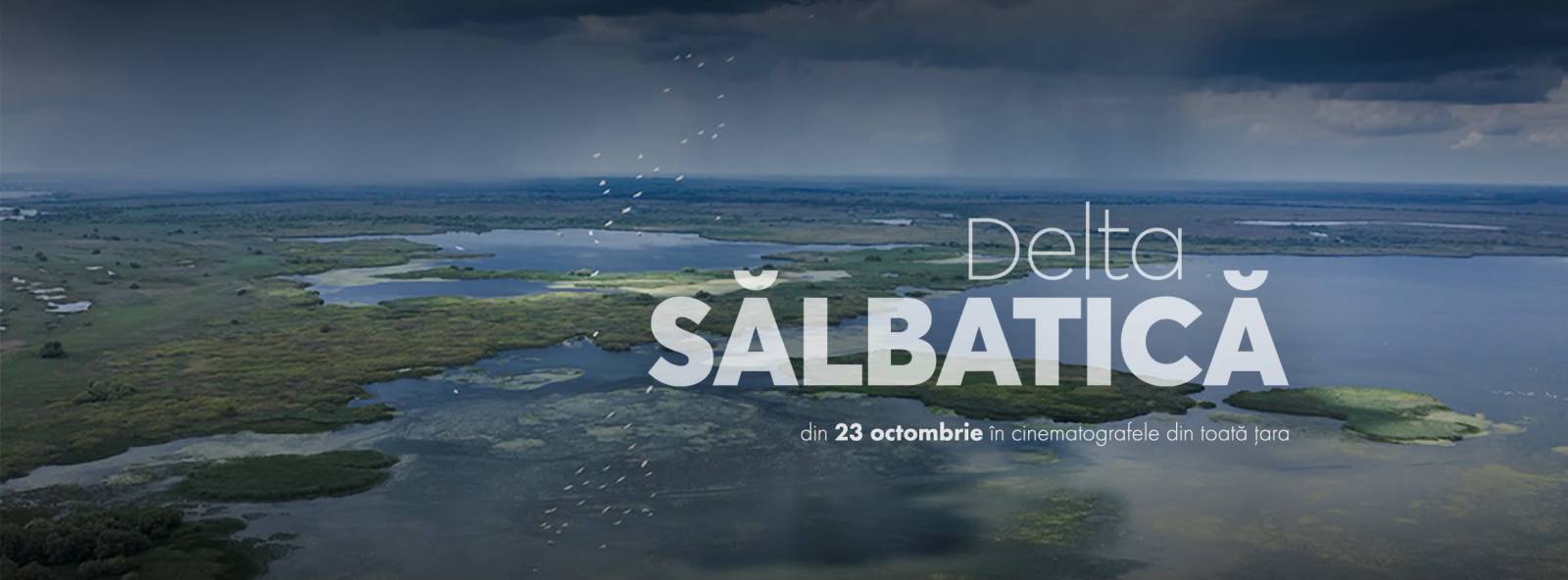 Echipa „Delta Sălbatică” susține proiectele de reconstrucție ecologică și renaturare derulate de organizațiile de mediu 2 DS COVER