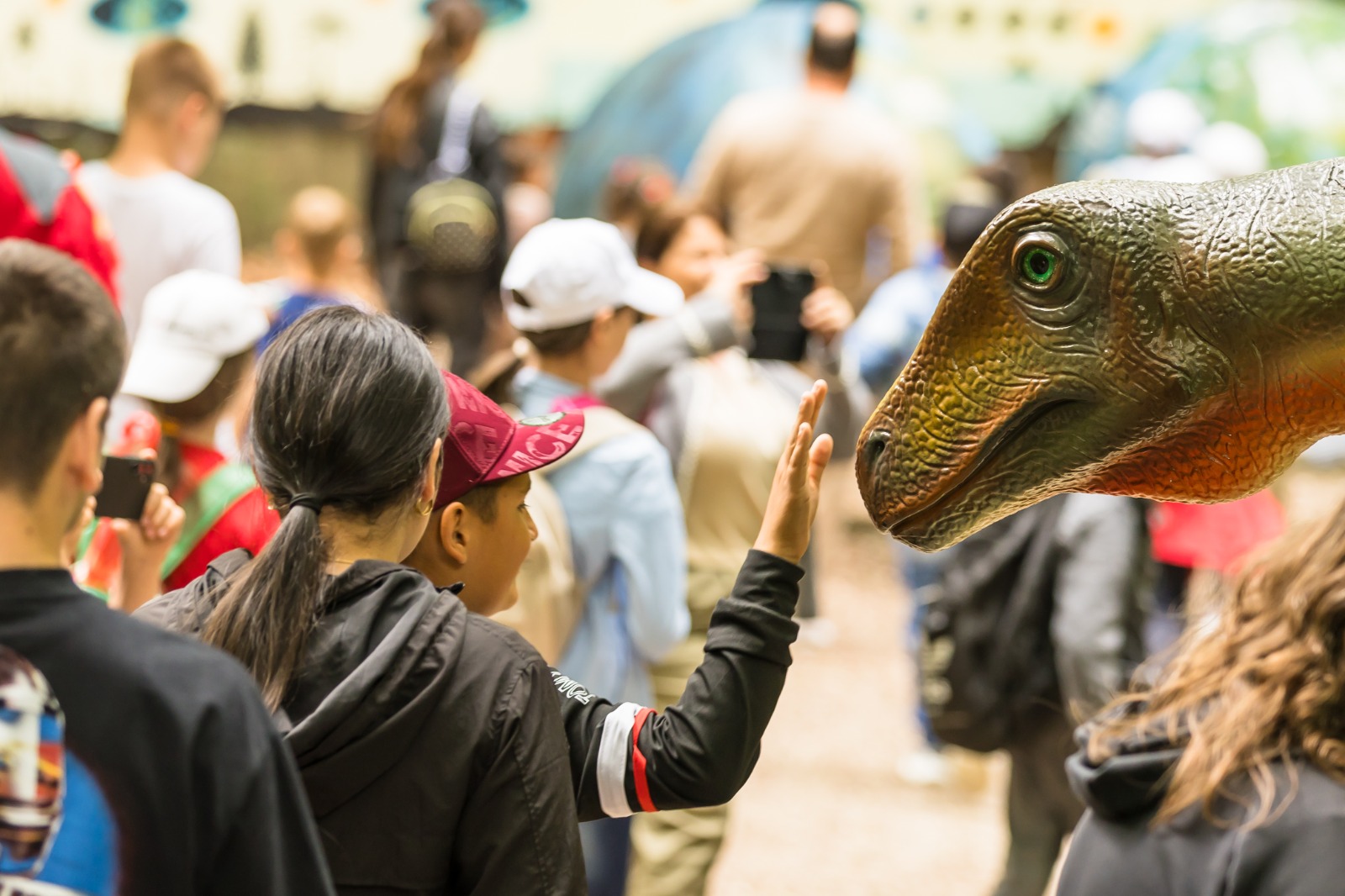 Dino Parc din Râșnov a avut un impact de 130 mil. euro în economia locală în 11 ani de activitate 5 Dino Parc 1