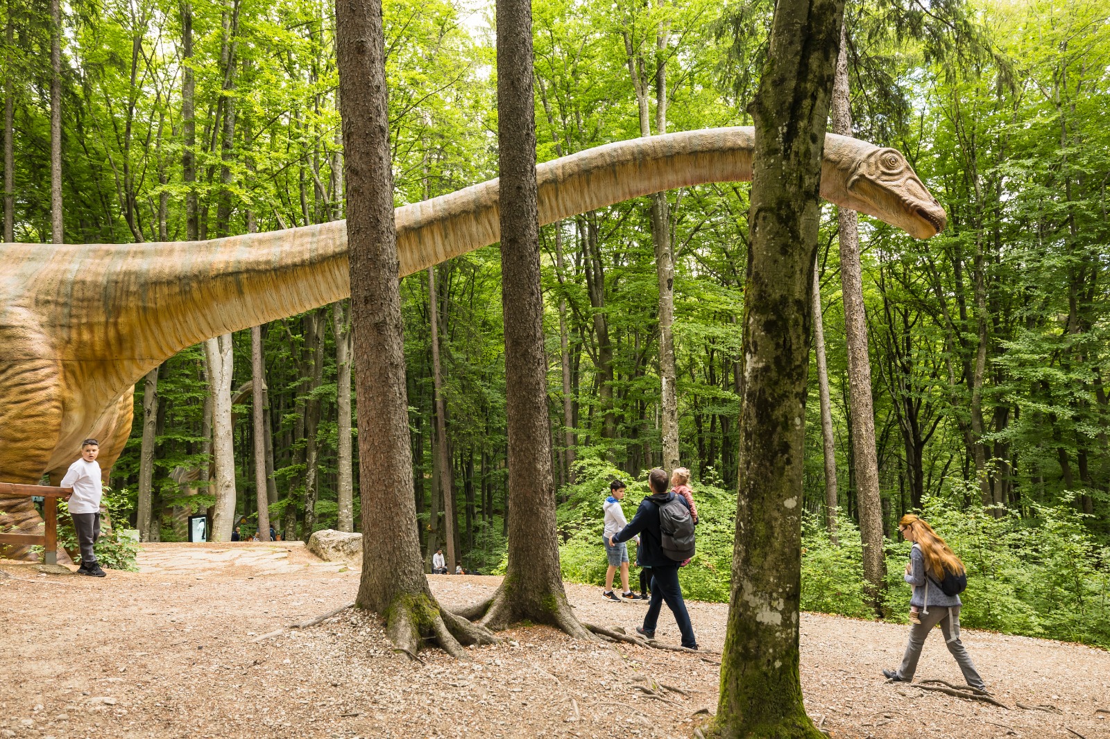Dino Parc din Râșnov a avut un impact de 130 mil. euro în economia locală în 11 ani de activitate 2 Dino Parc 3