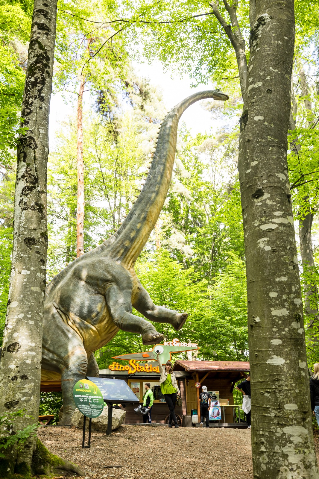 Dino Parc din Râșnov a avut un impact de 130 mil. euro în economia locală în 11 ani de activitate 3 Dino Parc 4