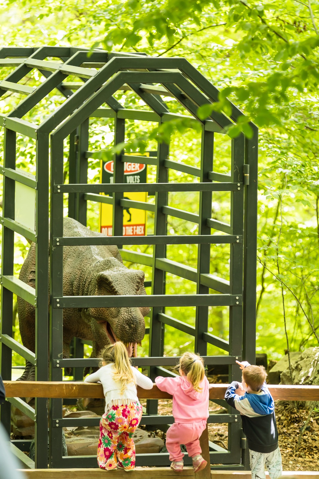 Dino Parc din Râșnov a avut un impact de 130 mil. euro în economia locală în 11 ani de activitate 4 Dino Parc 5