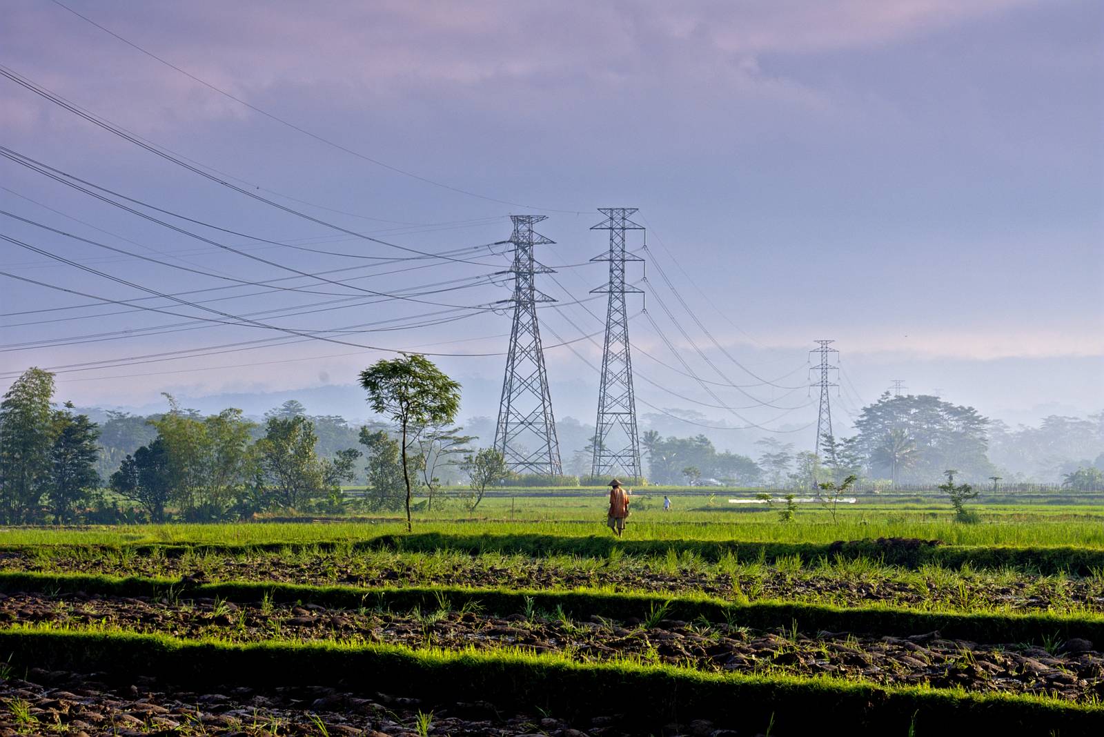 Criza energiei în Indonezia: Producătorii sting lumina în timp de statul îi foțează să vândă sub prețul pieței 10 Indonezia electricitate dreamstime m 99333557