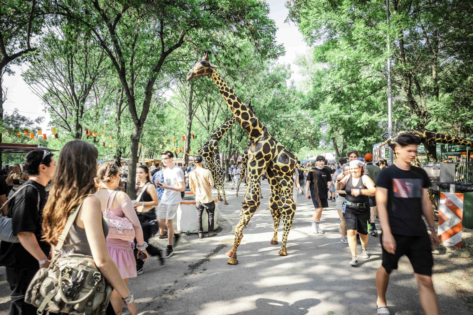 Un alt Sziget, imersiv și captivant emoțional 1 Tamas Purger 060825 PT00354 1