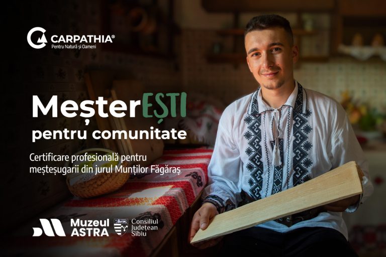 Vizual MesterESTI