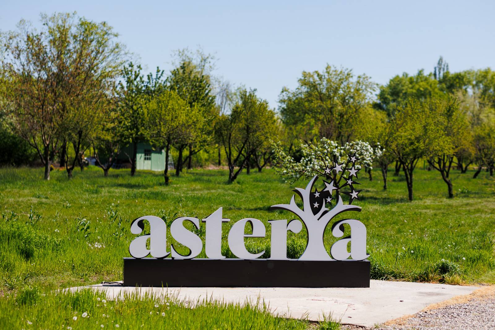 La Snagov se deschide un spațiu nou de evenimente, după o investiție de 1,2 mil. euro 8 10
