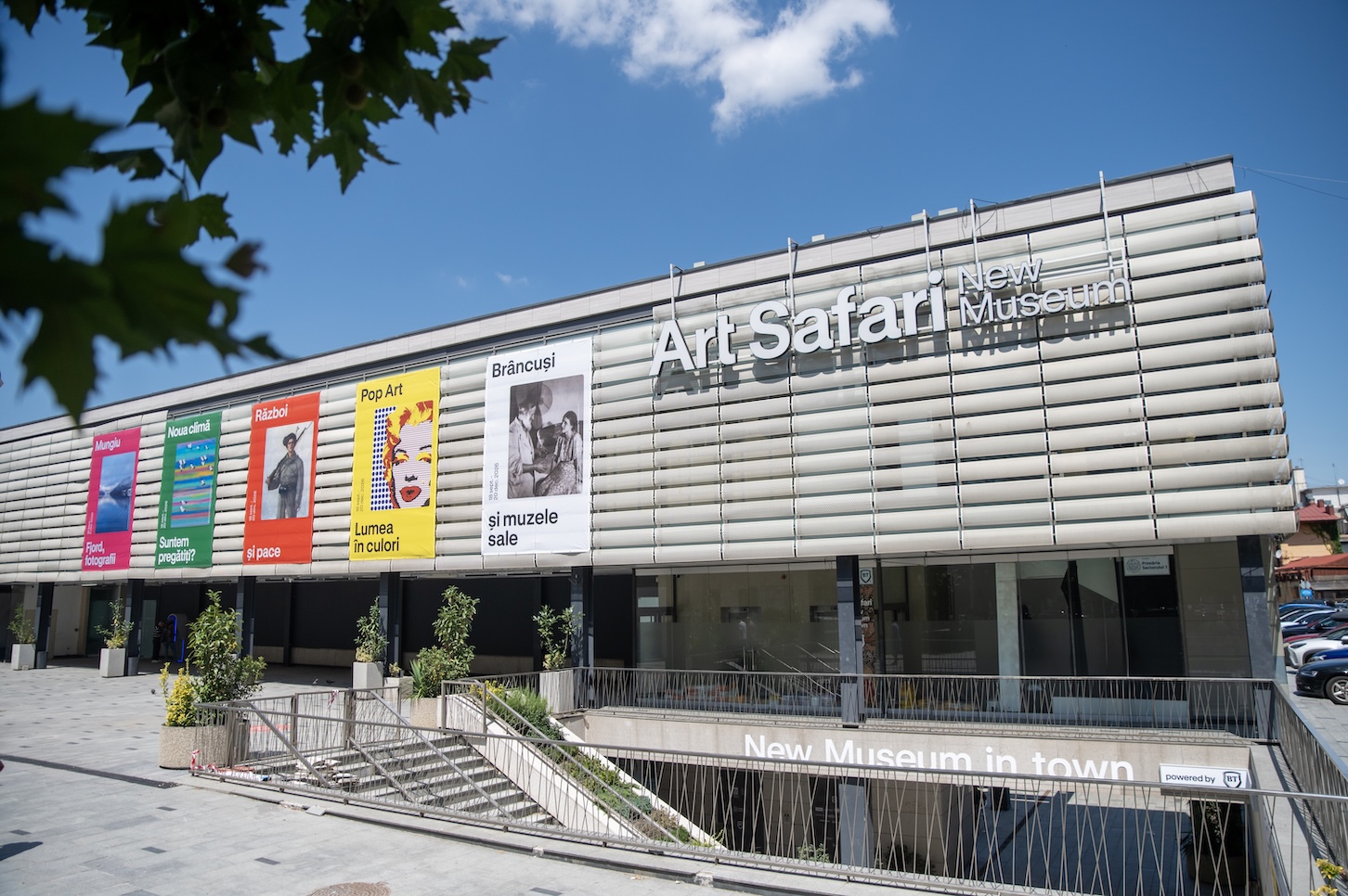 Art Safari New Museum 1