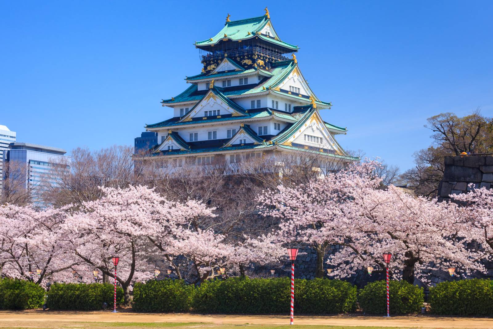 Exact Tours ajunge la 72 de destinații turistice în 2027 2 Castelul Osaka in sezonul florilor de cires Osaka Japonia Exact Tours