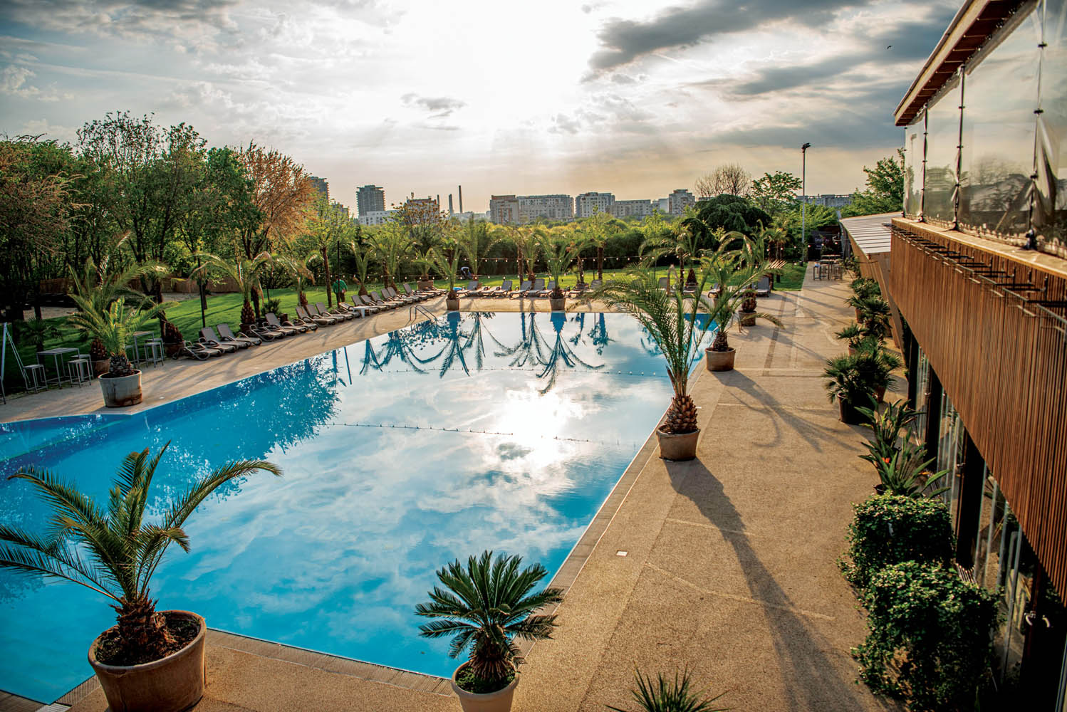 Daimon: Clubul de business, sport și relaxare 9 Daimon piscina