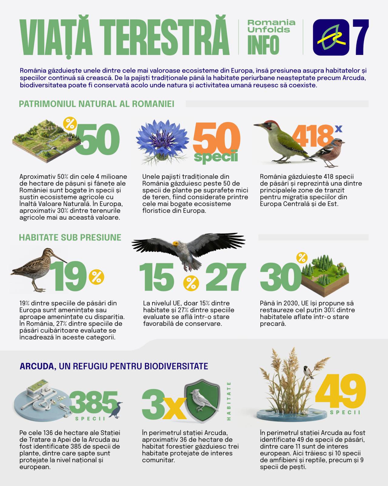 Infografic Romania Unfolds 7 RO