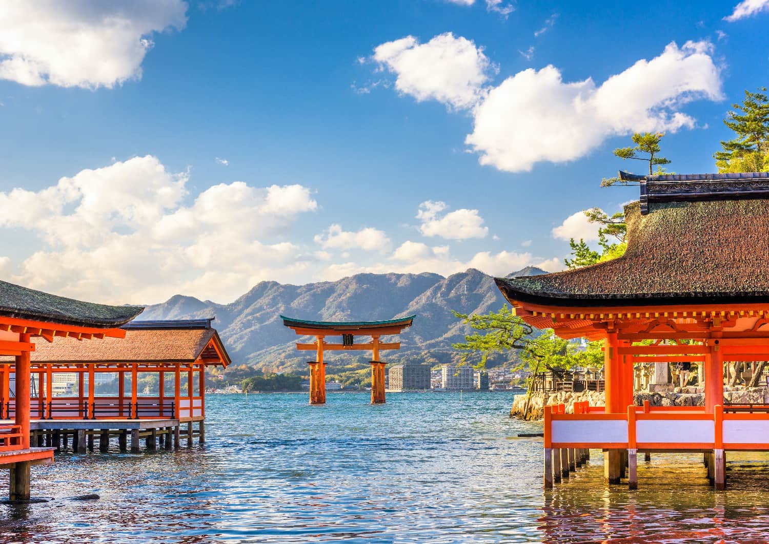 Exact Tours ajunge la 72 de destinații turistice în 2027 3 Miyajima Exact Tours