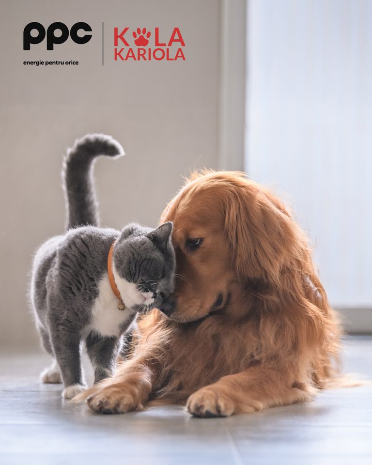 PPC Kola Kariola 1080x1350